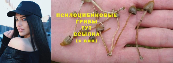 мяу мяу кристалл Бородино