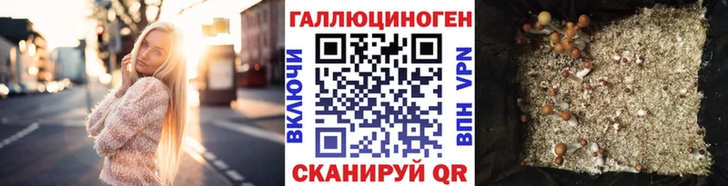 Купить закладки  Морозовск  Псилоцибиновые грибы Psilocybine cubensis 